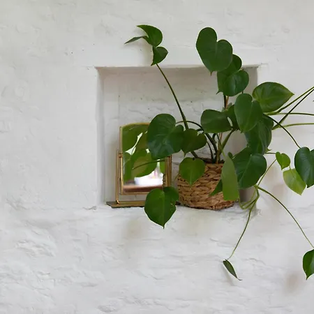 Bed and breakfast Le Domaine De 4*